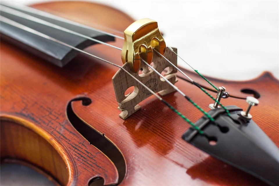 Nuevo Violín Acústico Ligero Metal Dorado Viola Mudo Alta Calidad Envío Gratis Foto 1 de 1