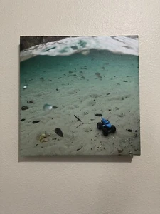 monster jam bedroom decor megalodon Monster Truck 12x12 canvas wall art poster - Picture 1 of 2