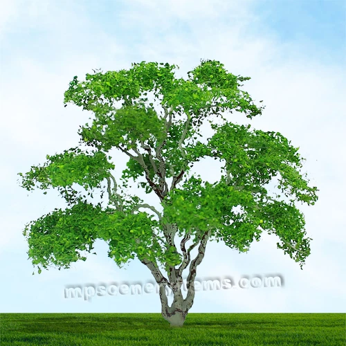 MP SCENERY 4 Snow Gum N Scale Architectural Model Trees Railroad Layout Dioramas - Image 1 of 1