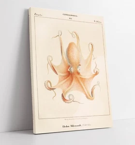 VINTAGE OCTOPUS ILLUSTRATION POSTER - TIEF GERAHMTER LEINWANDKUNSTDRUCK - Bild 1 von 2