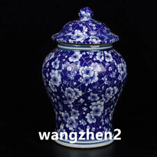 Exquisite Chinese blue and white porcelain plum blossom pattern general jar 21cm