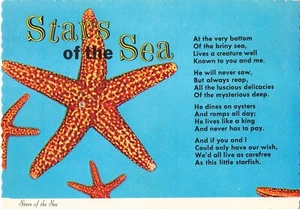 Stella marina stelle del mare poesia cartolina d'epoca - Foto 1 di 2