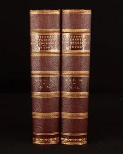 1895 2Vol Dictionary of Painters and Engravers Biographical and Critical Michael - Picture 1 of 7