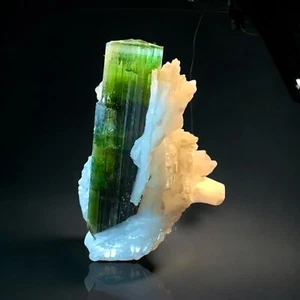 Rare Red Tantalite with Greencap Tourmaline & Albite - Bild 1 von 12