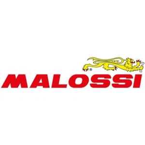 Malossi 7427 NUT - Picture 1 of 8
