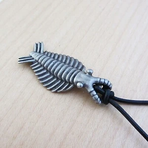 Anomalocaris Necklace - Cambrian Paleontology Pendant - Picture 1 of 7