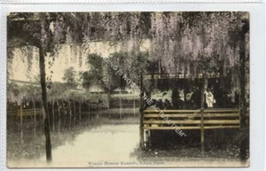 (Gb4239)  Wisteria Blossom, Kameido, Tokyo,  Japan 1913 - Picture 1 of 4