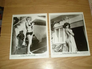 Gina Lollobrigida/Elke Sommer lot of 2 b/w bikini photos Press/Movie/Bambole - Picture 1 of 6