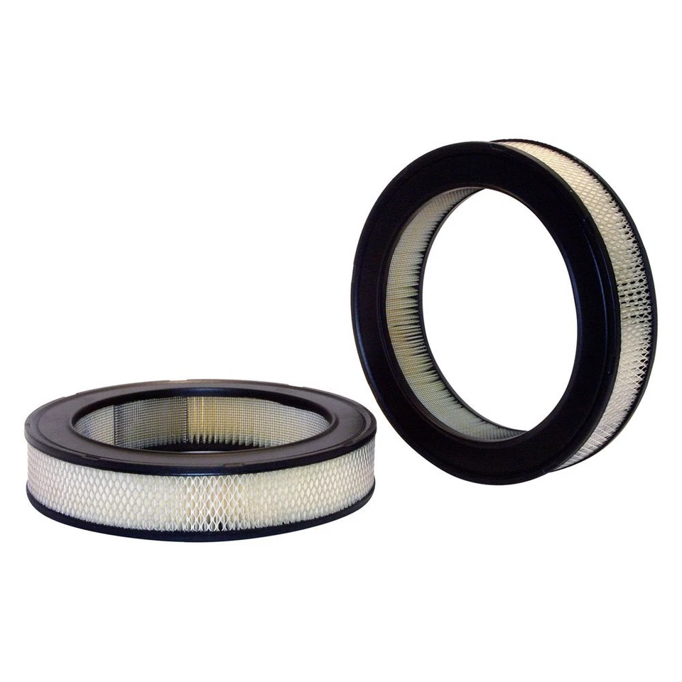 For Dodge Dakota 1988-1990 WIX 46152 Air Filter Foto 1 de 1