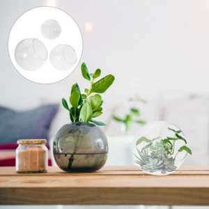 3 Pcs Luftpflanzen-Pflanzgefäß Kugelvase Glaskugel-Pflanzgefäß - Bild 1 von 12