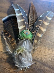 7pcs Natural 5-17cm Mixed Pheasant Peacock Turkey Feathers Decor DIY Art Craft - Picture 1 of 6