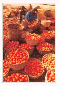 BURKINA FASO - Foto 1 di 2