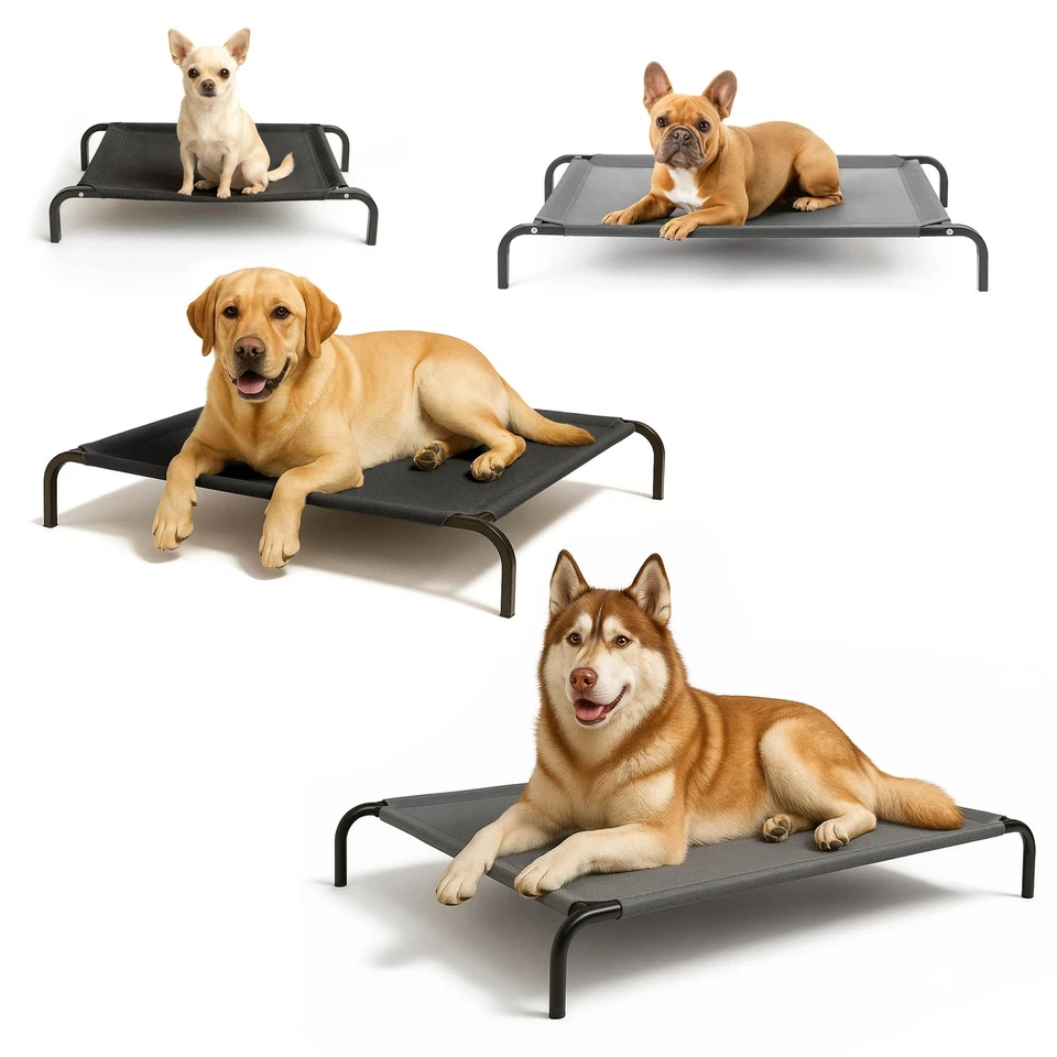 MARKENLOS Erhöhte Hundeliege indoor & outdoor, hygienisch & stabil, kleine & große Hunde