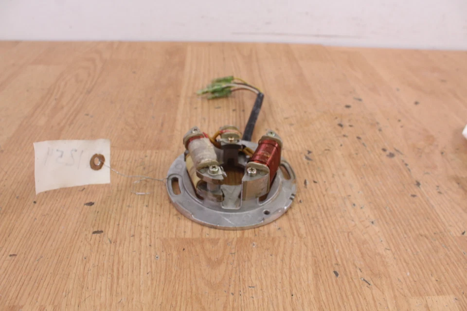 1993 年 YAMAHA VENTURE GT 定子 — 第 1/4 张图片