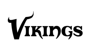 Minnesota Vikings 4” Vinyl decal Sticker NFL bumper window car - Picture 1 of 3