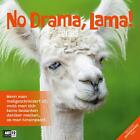 No Drama, Lama! Kalender 2025 - 30x30 | Ackermann Kunstverlag | Kalender | 28 S.