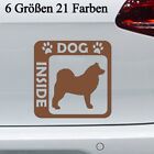 Husky Inside Aufkleber -6Gren- Sticker Hund im Auto Alaskan Malamute Siberian
