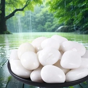 Grandi Rocce di Fiume Lucide 2-3 Pollici Pietre Decorative da Giardino per Paesaggistica - Foto 1 di 9