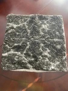 Pottery Barn Isabella Chenille / Linen Jacquard Textured Pillow Cover 20” Gray - Picture 1 of 8