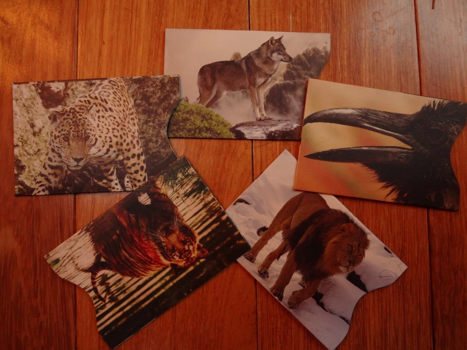 Lote Funda/Estuche/Soporte para Tarjeta de Crédito RFID Protector de Identidad Animales a Todo Color Foto 1 de 1