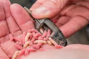 Alimentador de gusano Preston Innovations en línea ICS - todos los tamaños - Imagen 1 de 1