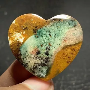 Jasperized Coral Fossil Cabochon 34x30x5mm High Quality 37.5 ct - Picture 1 of 7