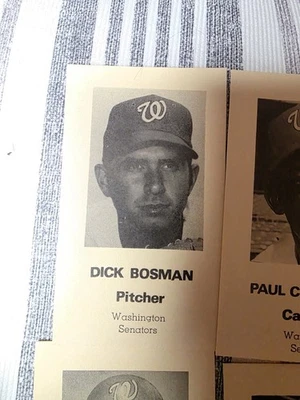 Lote de 10 tarjetas de seguridad vial 1971 de los senadores de Washington Frank Howard Denny McLain casi nuevas Foto 1 de 4