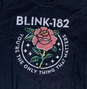 Camiseta pequeña Blink-182 usada - Imagen 1 de 3