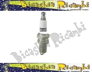 3246 - CANDELA CHAMPION RN2C PASSO LUNGO GILERA 50 2T TYPHOON STORM RUNNER DNA - Imagen 1 de 1