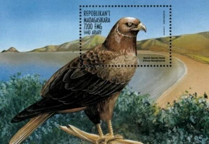 Madagascar 1998 - Hawks Birds - Souvenir Stamp Sheet - Scott #1400 - MNH - Picture 1 of 1
