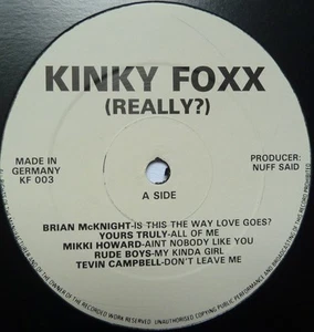 KINKY FOXX (REALLY?) - 12" VINYL PROMO - Bild 1 von 2