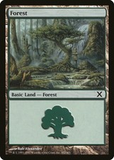 Forest (Version 382) 10th Edition HEAVILY PLD Basic Land MAGIC MTG CARD ABUGames