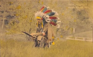 J54/ Native American Indian Postcard c10 Meditation Mohawk Trail Chief 376 - Picture 1 of 4
