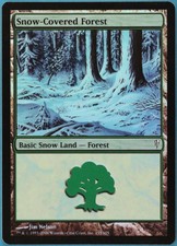 Snow-Covered Forest FOIL Coldsnap HEAVILY PLD Basic Land CARD (148272) ABUGames