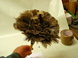 Staubwedel Straußenfedern natur dunkel Holzstiel antistatisch - Bild 1 von 3