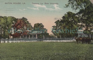 Baton Rouge LA - LOUISIANA STATE UNIVERSITY CADETS - Postcard - Picture 1 of 2