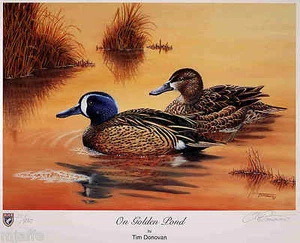 VIRGINIA #14 2001 STATE DUCK STAMP PRINT BLUE WINGED TEAL Tim Donovan List $155 - Picture 1 of 1
