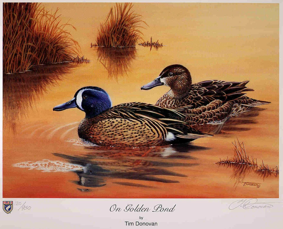 VIRGINIA #14 2001 ESTAMPADO DE ESTAMPILLAS DE PATO DEL ESTADO AZUL VERDE AZULADO ALADO Lista Tim Donovan $155 Foto 1 de 1