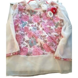 Nanette Girls Floral Appliqués Lace 2 Pc Sheer Sleeve Outfit 4T Whimsy Valentine - Picture 1 of 16