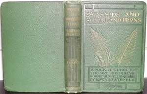 WAYSIDE and WOODLAND FERNS Edward Step 1908 1st Ed illus Horsetails Club-Mosses - Picture 1 of 1