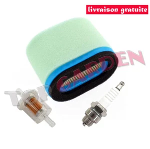 Filtre à air pour 5,5-6,5 CV OHV 498596 690610 690106 697029 5059h 4207 M147431 - Foto 1 di 2