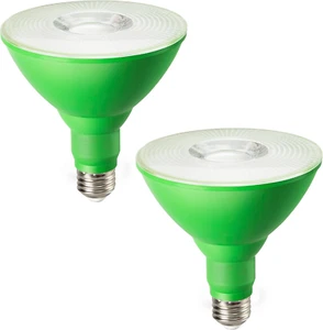 EDISHINE Christmas PAR38 Green LED Flood Light Bulbs Outdoor, Dimmable Green LED - Picture 1 of 9