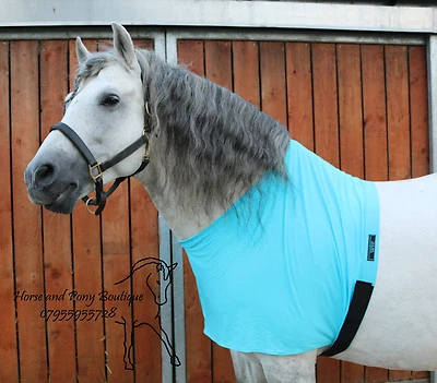 HORSE AND PONY BOUTIQUE Türkis Lycra Pferd Anti Rub Weste, Pferdelätzchen, Schulterschutz, Lycra Weste