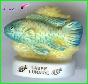 Feve de collection Poisson Fisch Edition Atlas " Le Labre Lunaire " #E20 - Foto 1 di 1