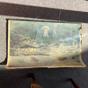 Vintage Soviet School Chart Working Trilobites Under Sea Life Educational Decor - Foto 1 di 5