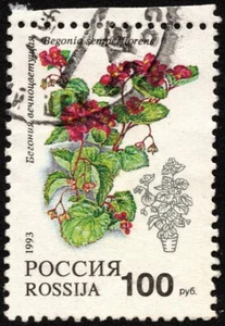 Russia - 1993 - 100r Begonia Semperflorens Flower Issue # 6137 w Town Cancel - Picture 1 of 1