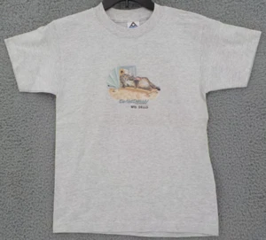 WISCONSIN DELLS T-SHIRT YOUTH SZ L (14/16) GRAY "DO NOT DISTURB" CAT IN PRAM - Picture 1 of 11