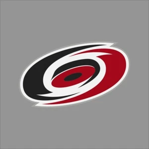 Calcomanía de vinilo deportiva Carolina Hurricanes NHL Team Pro - Imagen 1 de 4