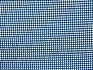 P/K LIFESTYLES GINGHAM PORCELAIN BLUE OFF WHITE MULTIUSE FABRIC BY YARD 54"W - Picture 1 of 6