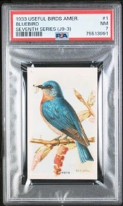 1933 Church & Dwight Useful Birds America J9-3 Bluebird #1 PSA 7 NM - Picture 1 of 2